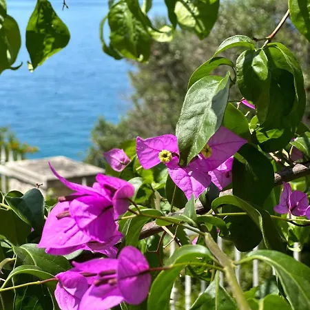 别墅 Luxury Seaside With A Classic Mediterranean Olive Garden, A Fully Equipped Professional Kitchen, Pool, Sauna, Padle Boards And Canoe - Miolin House