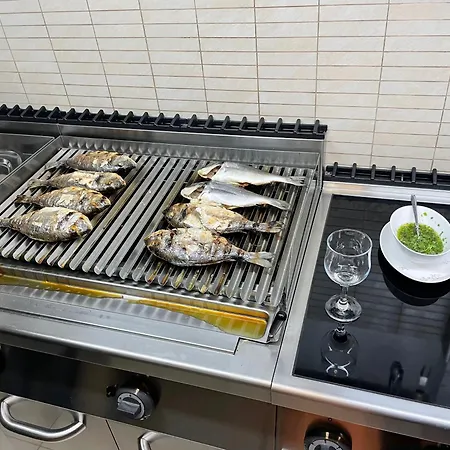 Luxury Seaside With A Classic Mediterranean Olive Garden, A Fully Equipped Professional Kitchen, Pool, Sauna, Padle Boards And Canoe - Miolin House トロギール