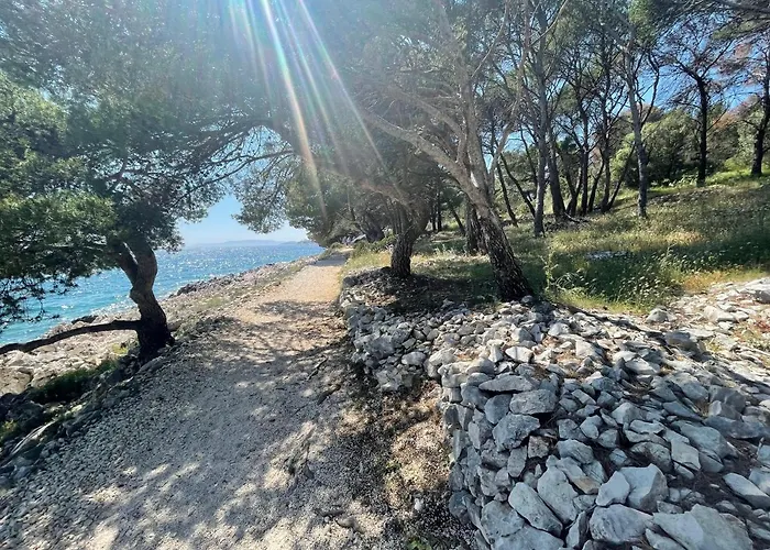 Villa Luxury Seaside With A Classic Mediterranean Olive Garden, A Fully Equipped Professional Kitchen, Pool, Sauna, Padle Boards And Canoe - Miolin House